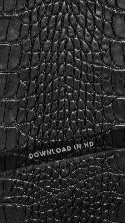 Animal Croc