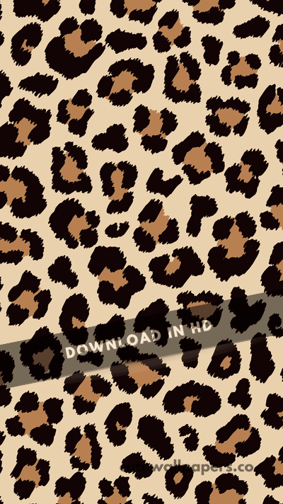 Animal Leopard