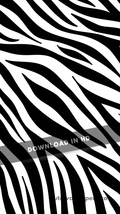 Animal Zebra